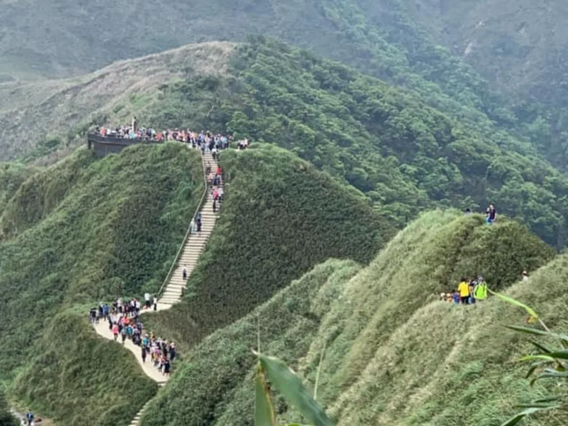 抹茶山介紹