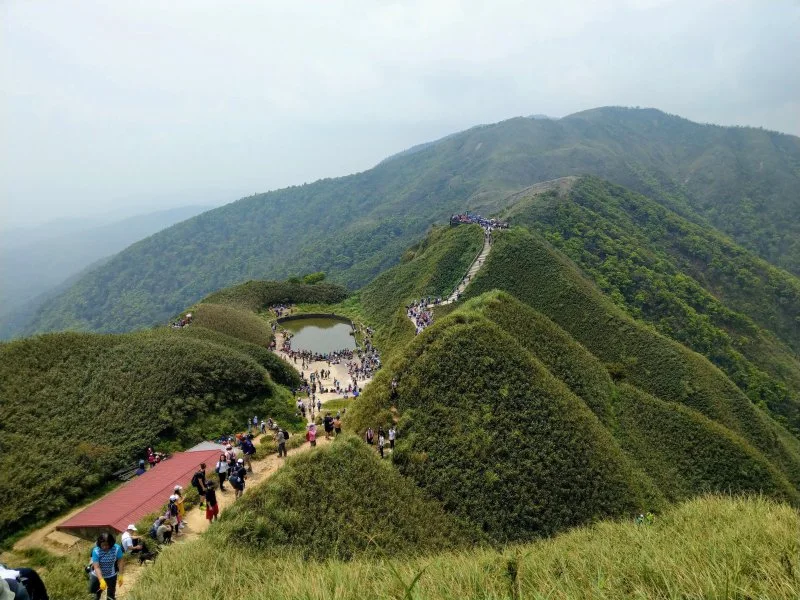 抹茶山介紹
