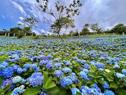 石牌縣界公園