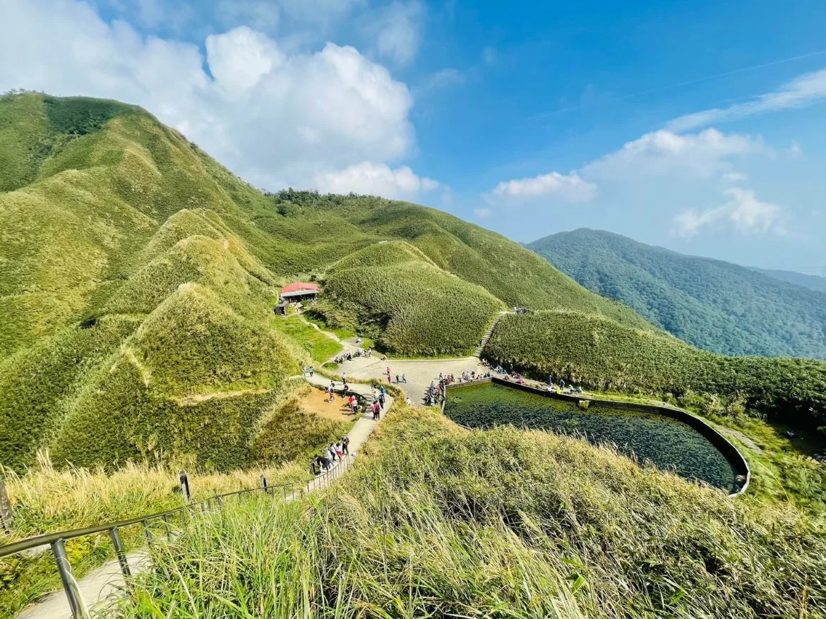 抹茶山介紹