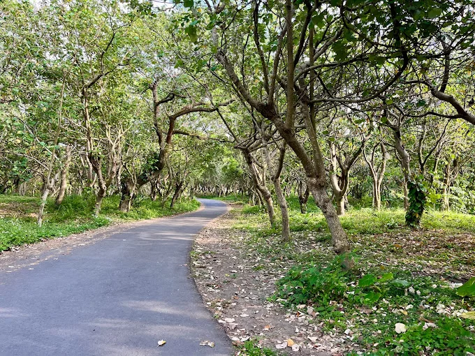頭城濱海森林公園