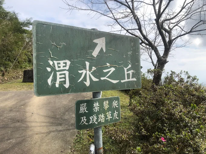 渭水之丘