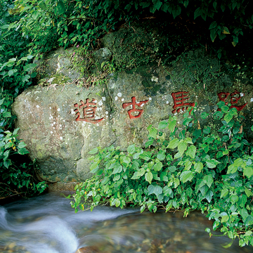 <br /><br />跑馬古道